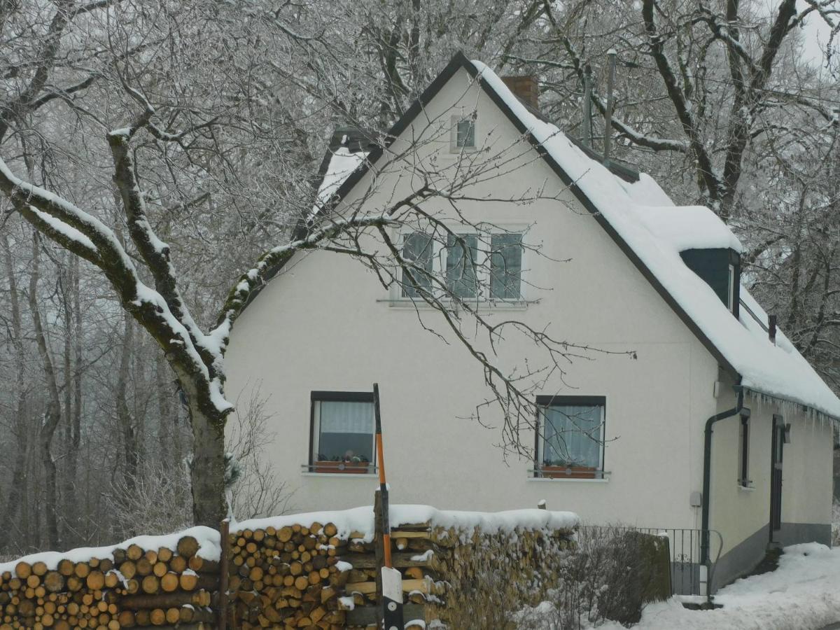 Haus Eugen Appartement Presseck Buitenkant foto